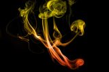 getwebimage.php?pid=46549&url=http%3A%2F%2Flh4.ggpht.com%2F_07wfUmwvn9A%2FTPa5MziazCI%2FAAAAAAAAFqg%2FdZNvjBppWRA%2F01122010-01122010-_DSC0011_WEB-1.jpg