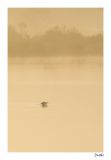 getwebimage.php?pid=50095&url=http%3A%2F%2Fdesthi2k7.free.fr%2Fphotodxd%2FOiseaux%2F06-02-11%2FDSC_0383.jpg