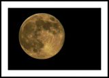 getwebimage.php?pid=5312&url=http%3A%2F%2Fpete.boule.free.fr%2Fsite%2520photos%2Fnovembre%2Flune_rousse.JPG