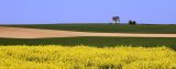 getwebimage.php?pid=54182&url=http%3A%2F%2Fjmdubois.free.fr%2Fgallery%2Fgalleries%2F_Public%2F40D_3405.jpg