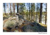 getwebimage.php?pid=57300&url=http%3A%2F%2Fdesthi2k7.free.fr%2FFinland%2FDSC_0954.jpg