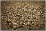 getwebimage.php?pid=62422&url=http%3A%2F%2Fmorgolprod.free.fr%2Fhfr%2Falpha%2Fvautours005.jpg