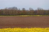 getwebimage.php?pid=62903&url=http%3A%2F%2Fegr.photo.free.fr%2F2012_04_28_Beauce_Fertile%2FDSC07359_DxO.jpg