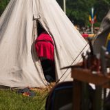 getwebimage.php?pid=63106&url=http%3A%2F%2Fegr.photo.free.fr%2F2012_05_01_Galerie_Fetes_Johanniques%2Foriginal%2FDSC07656_DxO.jpg