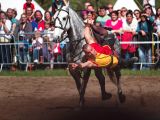 getwebimage.php?pid=63113&url=http%3A%2F%2Fegr.photo.free.fr%2F2012_05_01_Galerie_Fetes_Johanniques%2Foriginal%2FDSC07834_DxO.jpg