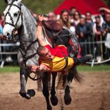 getwebimage.php?pid=63114&url=http%3A%2F%2Fegr.photo.free.fr%2F2012_05_01_Galerie_Fetes_Johanniques%2Foriginal%2FDSC07835_DxO.jpg