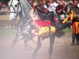 getwebimage.php?pid=63115&url=http%3A%2F%2Fegr.photo.free.fr%2F2012_05_01_Galerie_Fetes_Johanniques%2Foriginal%2FDSC07836_DxO.jpg