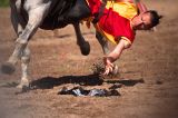 getwebimage.php?pid=63116&url=http%3A%2F%2Fegr.photo.free.fr%2F2012_05_01_Galerie_Fetes_Johanniques%2Foriginal%2FDSC07858_DxO.jpg