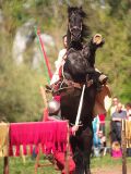 getwebimage.php?pid=63117&url=http%3A%2F%2Fegr.photo.free.fr%2F2012_05_01_Galerie_Fetes_Johanniques%2Foriginal%2FDSC07898_DxO.jpg