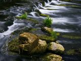 getwebimage.php?pid=64892&url=http%3A%2F%2Fdaniel.d.photo.free.fr%2Fphpwebgallery%2Fgalleries%2Fprive%2FDSC08184copie.jpg