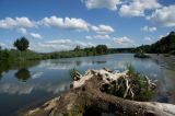 getwebimage.php?pid=66638&url=http%3A%2F%2Ffusis.alain.free.fr%2FNEX5%2Ffranche-comte%2FFranche-comte--007.jpg