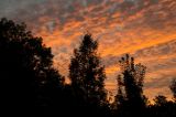 getwebimage.php?pid=66639&url=http%3A%2F%2Ffusis.alain.free.fr%2FNEX5%2Ffranche-comte%2FFranche-comte--008.jpg