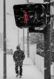 getwebimage.php?pid=69312&url=http%3A%2F%2Fcm47.free.fr%2Fjean-luc%2FDxD%2F003-2.jpg