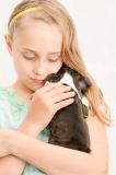 getwebimage.php?pid=75128&url=http%3A%2F%2Fagora.photo.free.fr%2FEnder%2Folivia_puppy_hamilton_small.jpg