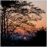 getwebimage.php?pid=76797&url=http%3A%2F%2Fmorgolprod.free.fr%2Fhfr%2Falpha%2Ftoscane%2520%2867%29-Modifier.jpg