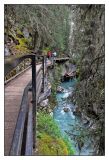 getwebimage.php?pid=79672&url=http%3A%2F%2Fphotosmicbou.free.fr%2Fphoto%2FJ14-2.JPG