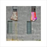 getwebimage.php?pid=84262&url=https%3A%2F%2Ffarm3.staticflickr.com%2F2890%2F13553753605_e6b05c6291_b.jpg
