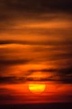 getwebimage.php?pid=85332&url=https%3A%2F%2Ffarm3.staticflickr.com%2F2927%2F14108173422_32bc89f0f1_c.jpg