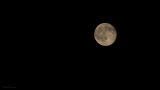 getwebimage.php?pid=85344&url=https%3A%2F%2Ffarm3.staticflickr.com%2F2907%2F14181176336_1717a9cb34_c.jpg