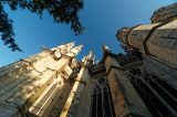 getwebimage.php?pid=88667&url=http%3A%2F%2Fegr.photo.free.fr%2Fgalerie%2FSorties_Forum%2F20140920%2FDSC07208_DxOr.jpg