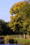 getwebimage.php?pid=89746&url=http%3A%2F%2Fegr.photo.free.fr%2Ftemp%2FCombleux%2FDSC07809_DxOr.jpg
