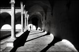 getwebimage.php?pid=90881&url=https%3A%2F%2Ffarm6.staticflickr.com%2F5600%2F15435628067_48d5aee53c_c.jpg
