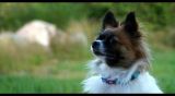 getwebimage.php?pid=93038&url=http%3A%2F%2Fzeufman.free.fr%2Fimg%2FDSC00235-3.jpg