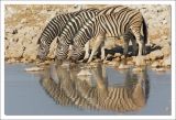 getwebimage.php?pid=96893&url=http%3A%2F%2Fphotosmicbou.free.fr%2FNamibie%2F34.jpg
