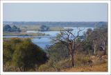 getwebimage.php?pid=97057&url=http%3A%2F%2Fphotosmicbou.free.fr%2FNamibie%2F68.jpg