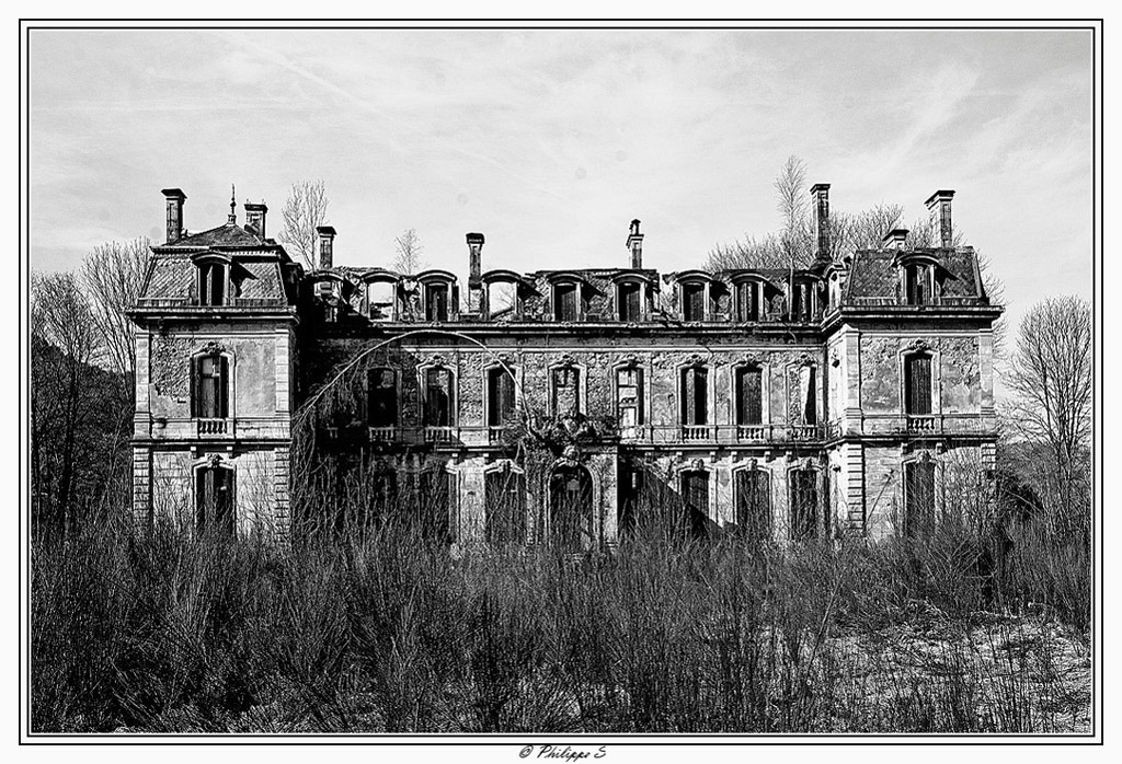 Click to view full size image