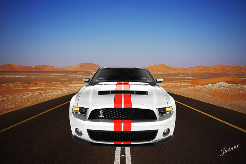 Click to view full size image