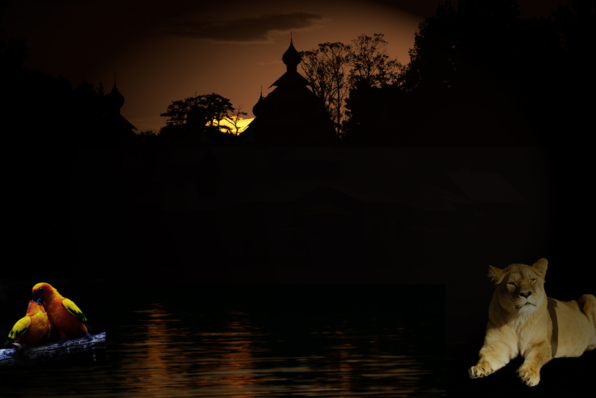 Click to view full size image