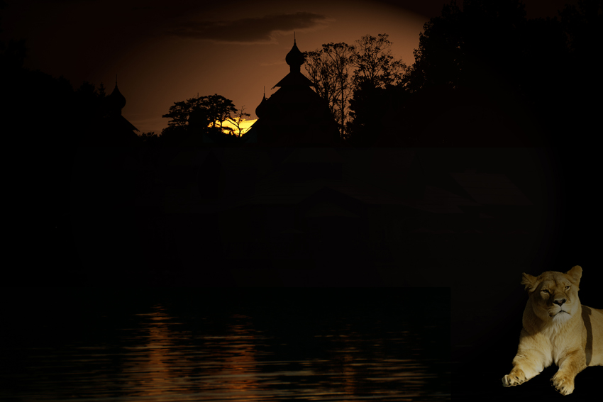 Click to view full size image