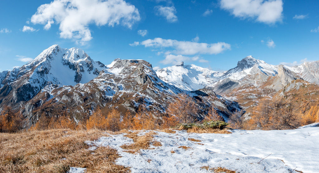 Click to view full size image