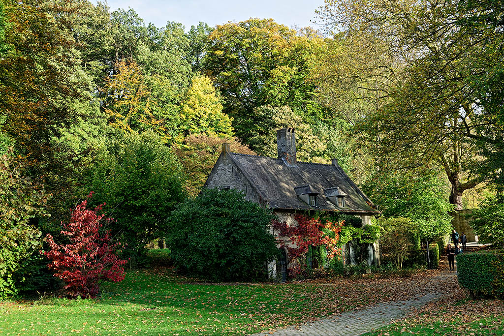 Click to view full size image