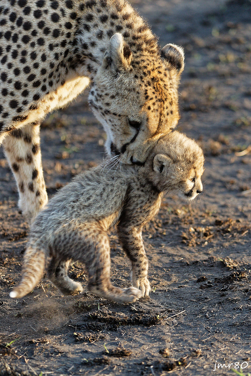 Click to view full size image
