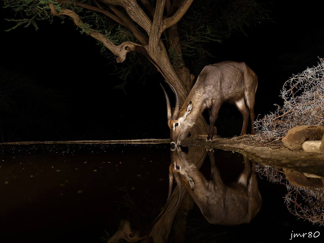 Click to view full size image