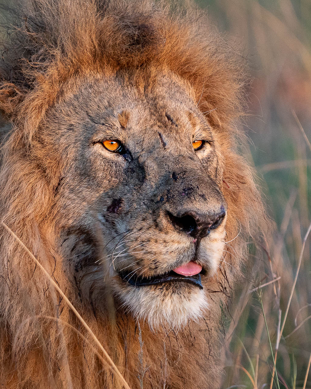 Click to view full size image