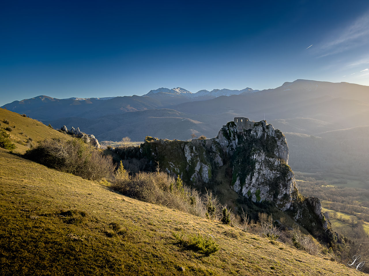 Click to view full size image