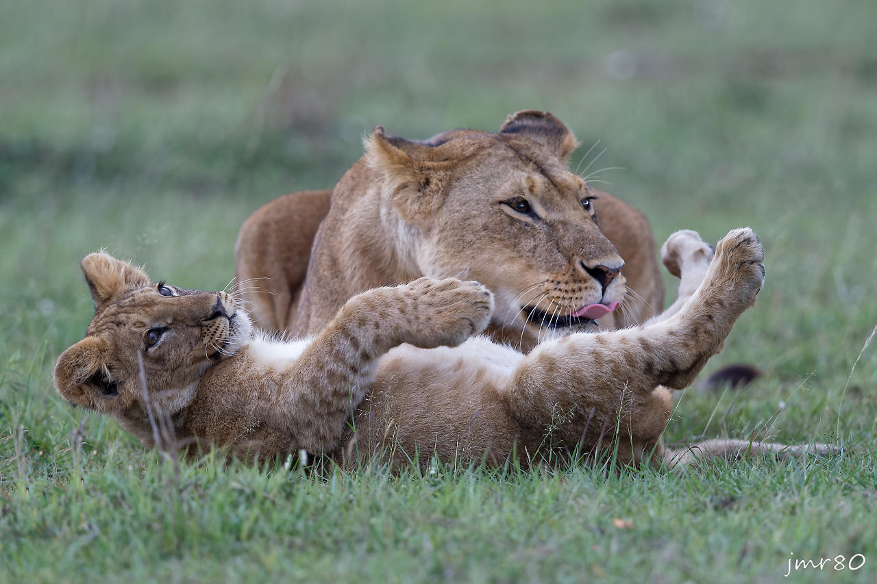 Click to view full size image