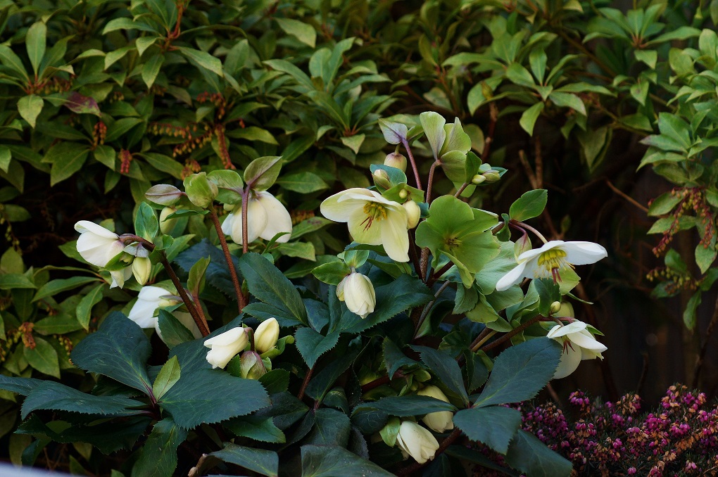 Click to view full size image