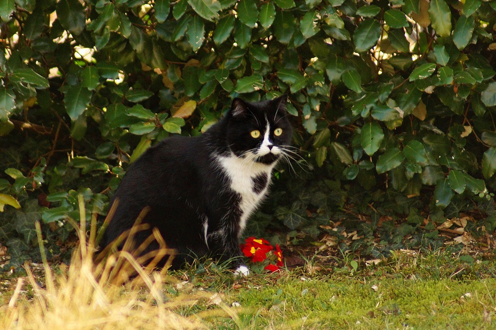 Click to view full size image