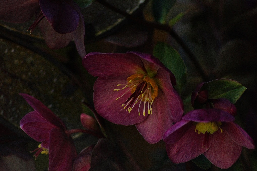 Click to view full size image