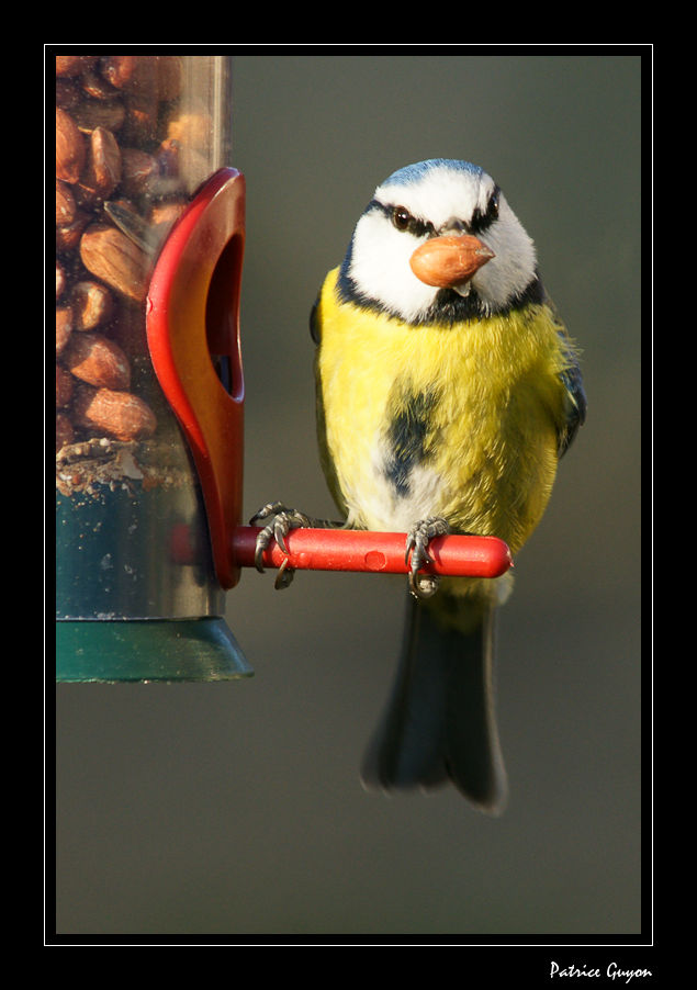 Click to view full size image