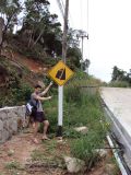 getphpbbimage.php?id=100571