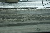 getphpbbimage.php?id=10204