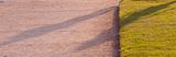 getphpbbimage.php?id=113210