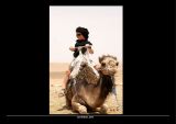 getphpbbimage.php?id=114968