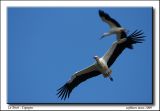 getphpbbimage.php?id=11507