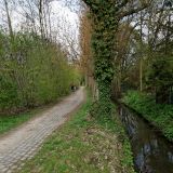 getphpbbimage.php?id=116193